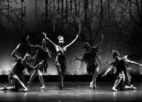 Midsummer Cast B 4/3/18